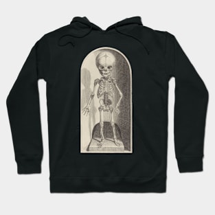 Anatomical Study of a Skeleton, 1685 - original engraving cleaned and restored Hoodie